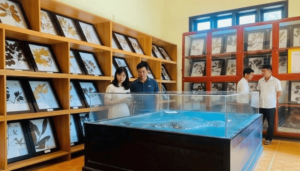 Cham Island Marine Museum is a place to display artifacts and specimens of animals and plants typical of this sea area